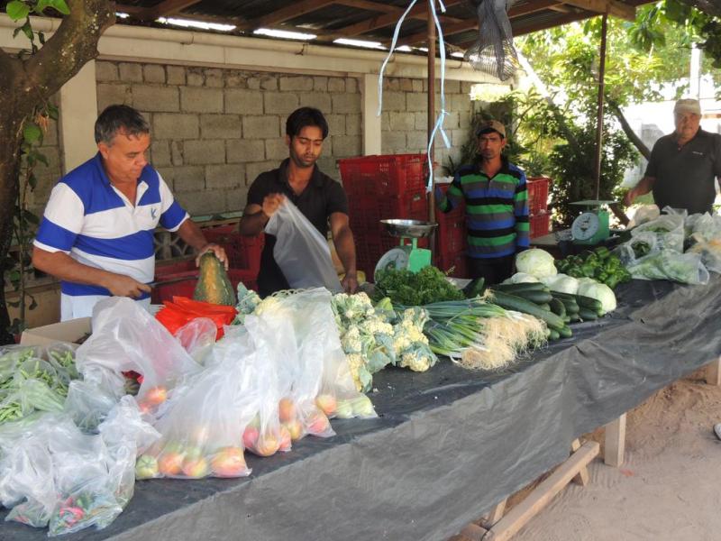 Reef Holidays Apartments