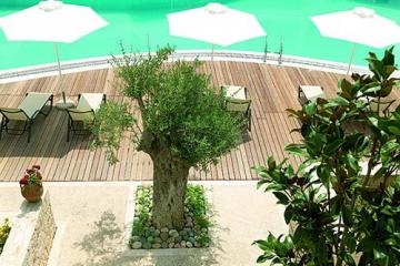 Отель Renaissance Hanioti Resort Греция, Халкидики-Кассандра, фото 3