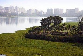 Отель The Westin Mumbai Powai Lake Индия, Мумбаи (Бомбей), фото 2