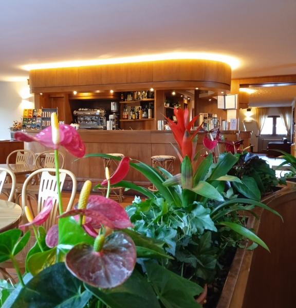 Hotel Renzi