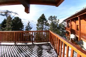 Chalet des Neiges Arolles