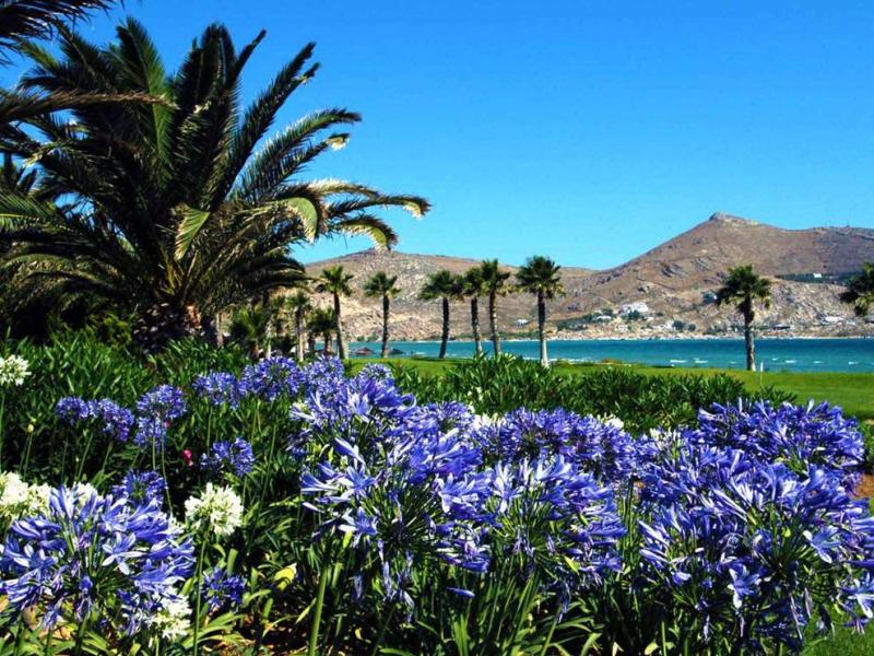 Astir of Paros