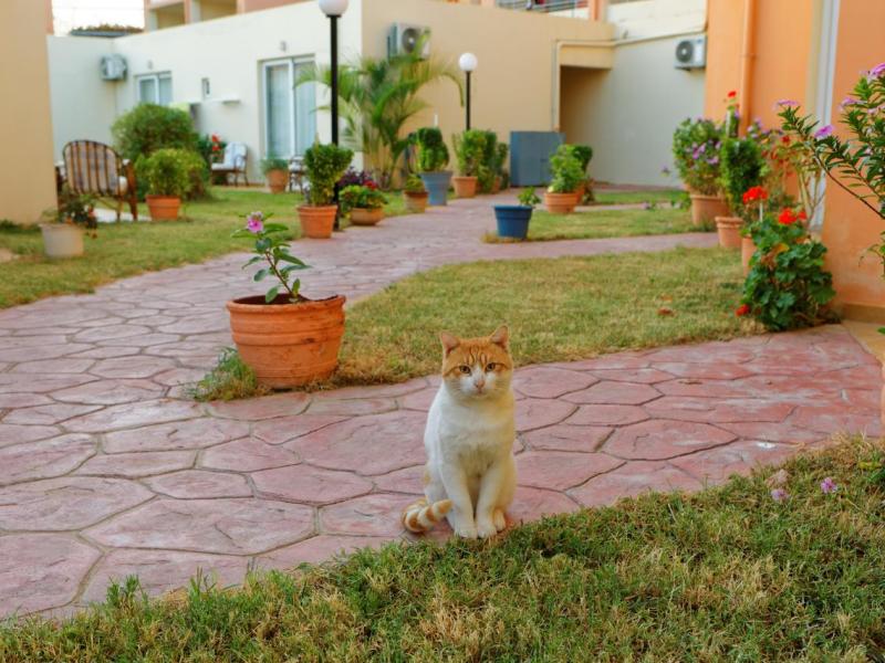 Rethymno Village Hotel