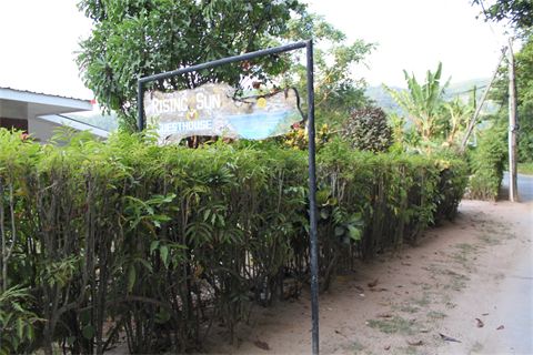 Rising Sun Guesthouse