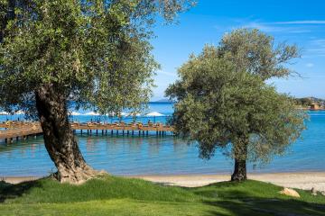 Отель Rixos Premium Bodrum Турция, Бодрум, фото 43