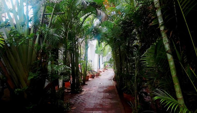 Rococco Ashvem Resort