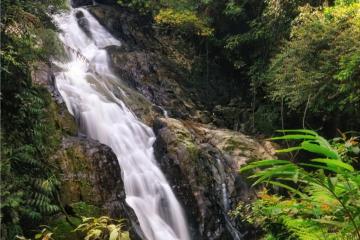 Отель Rosa Passadena Малайзия, Камерон Хайленд, фото 13