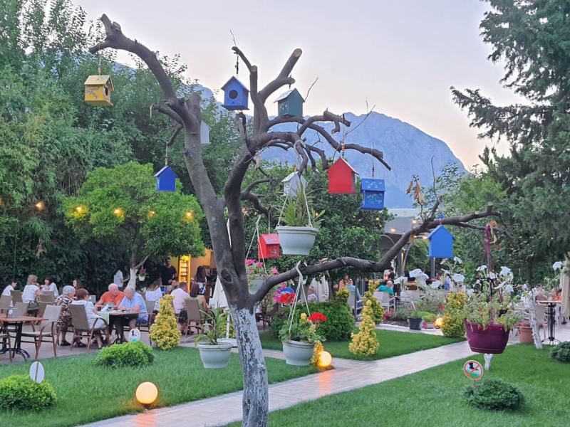 DG Hotels Rose Resort