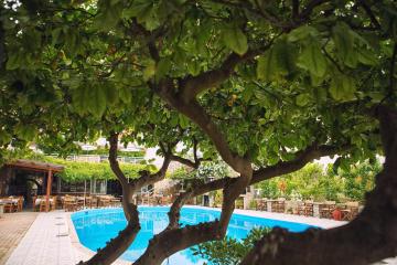 Отель Roxani Греция, о. Крит-Ираклион, фото 18