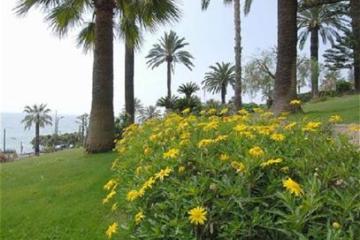 Отель Royal (San Remo) Италия, Лигурия, фото 32
