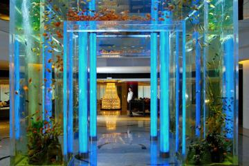 Отель Conrad Shanghai Китай, Шанхай, фото 27