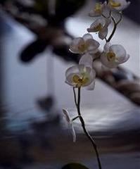 Отель Conrad Shanghai Китай, Шанхай, фото 46