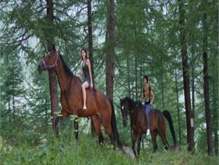 Saint Hubertus Resort