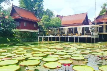 Отель Ma Doo Bua Phuket Таиланд, о Пхукет, фото 2