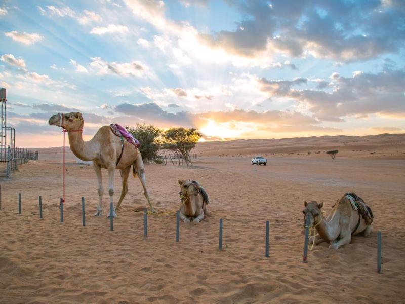 Sama Al Wasil Desert Camp