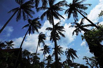 Samui Orchid Suites Resort