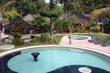 Отель Sari Sanur Resort Индонезия, о Бали, фото 2