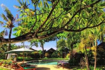 Отель Sari Sanur Resort Индонезия, о Бали, фото 5