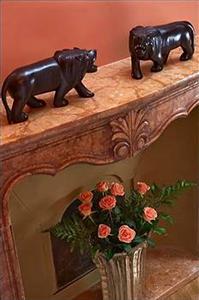 Saturnia & International