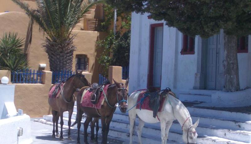 Athina Luxury Suites