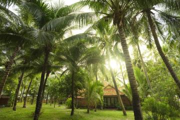 Отель Dessole Beach Resort - Mui Ne (Ex. Sea Lion Beach Resort & Spa) Вьетнам, Фантьет, фото 20