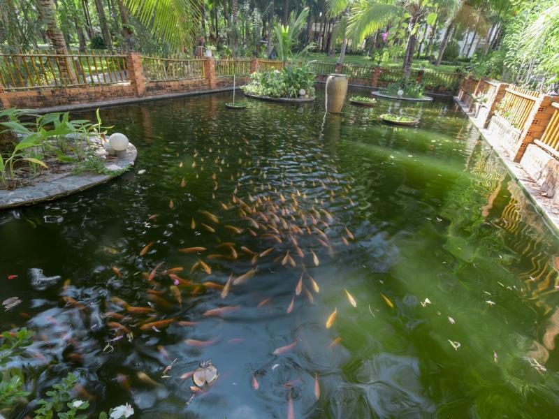 Dessole Beach Resort - Mui Ne (Ex. Sea Lion Beach Resort & Spa)