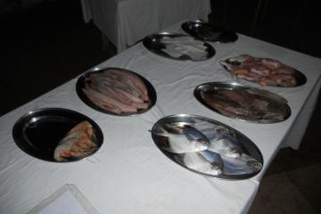 Отель Sea View Beach Resort   Индия, Бага, фото 14