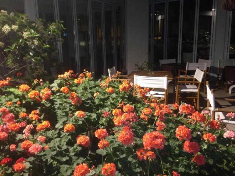 SeaPark Family Resort & SPA