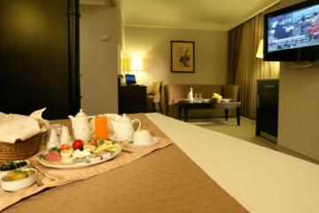 Отель Holiday Inn Istanbul - Old City Турция, Лалели, фото 3