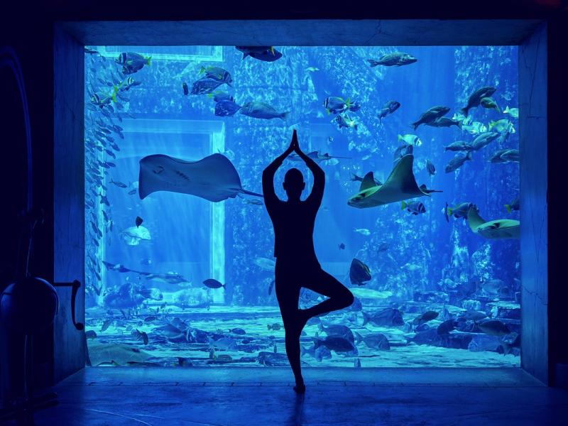 Atlantis The Palm