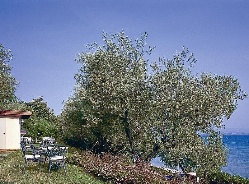 Acquaviva
