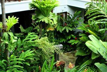 Shewe Wana Boutique Resort and Spa