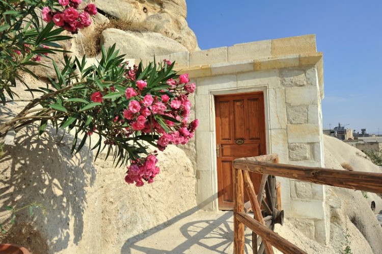 Shoestring Cave House 