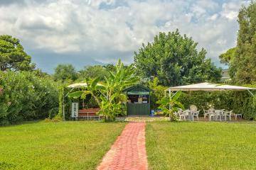 Отель Sinatra Hotel Турция, Чамьюва, фото 5