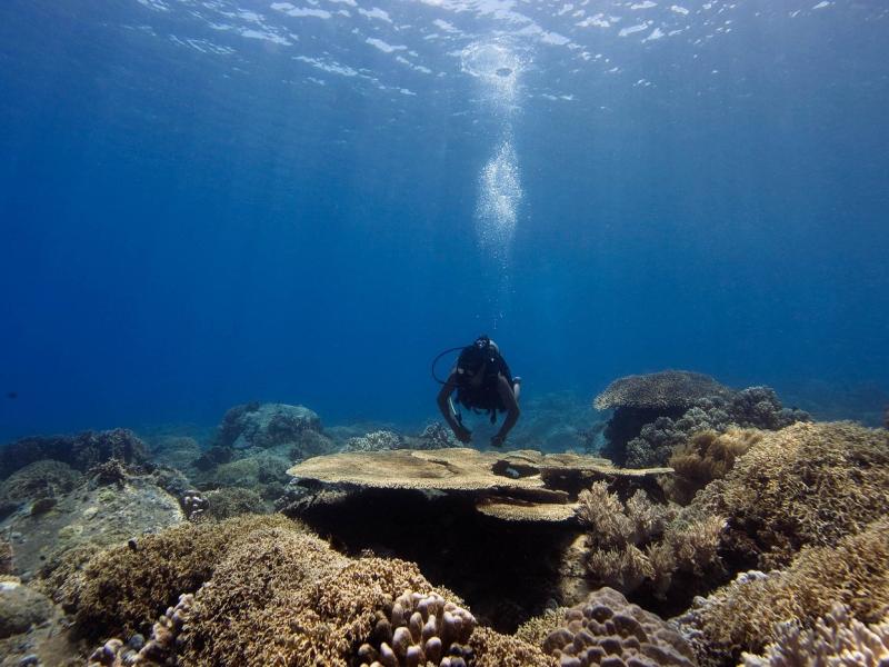 Six Senses Hideway Ninh Van Bay 