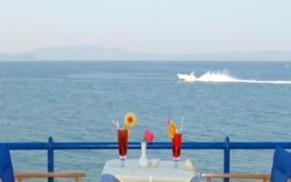 Отель Attica Beach Hotel Греция, Аттика, фото 3