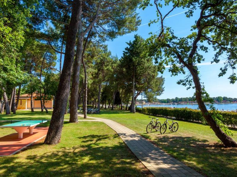 Sol Aurora for Plava Laguna