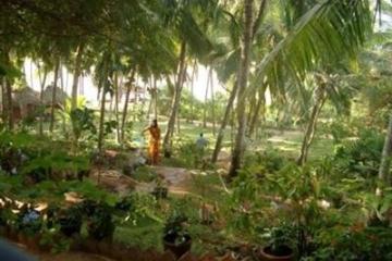 Отель Somatheeram Ayurvedic Health Resort Индия, Керала, фото 2