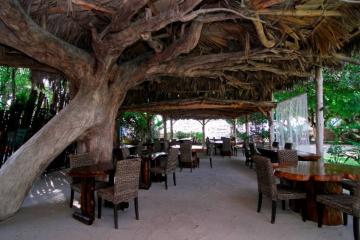 Отель Augerine Small Hotel Сейшелы, о Маэ, фото 12