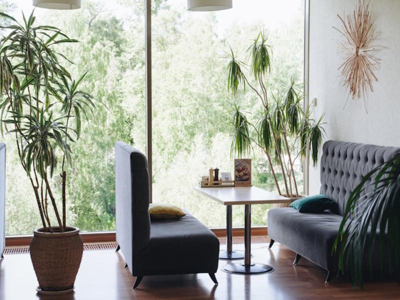 Спа отель Карелия