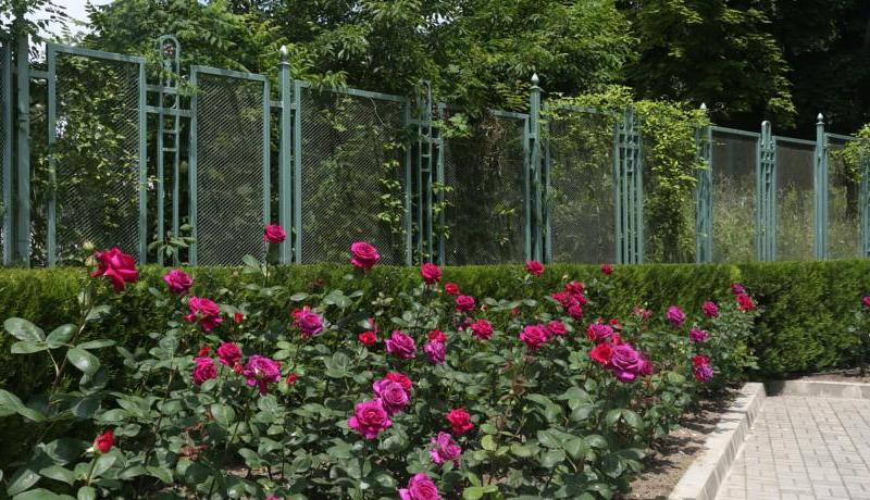 Apartcomplex Splendid