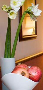 Starhotels Michelangelo