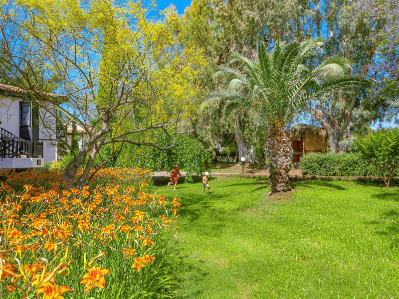 Starlight Resort Hotel