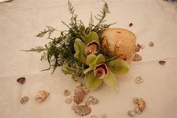 Delfini Strand Hotel Terme