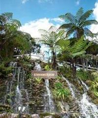Отель Strawberry Park Resort Малайзия, Камерон Хайленд, фото 28