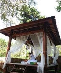 Отель Strawberry Park Resort Малайзия, Камерон Хайленд, фото 30