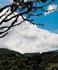 Отель Strawberry Park Resort Малайзия, Камерон Хайленд, фото 41
