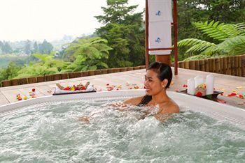 Отель Strawberry Park Resort Малайзия, Камерон Хайленд, фото 6