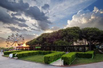 Отель Sueno Hotels Beach Side Турция, Соргун, фото 29