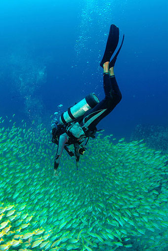 Sun Properties & Resort Hotel